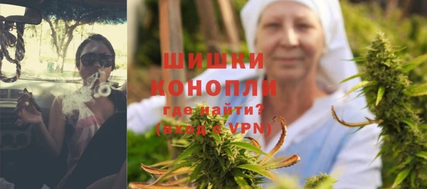 индика Заволжск