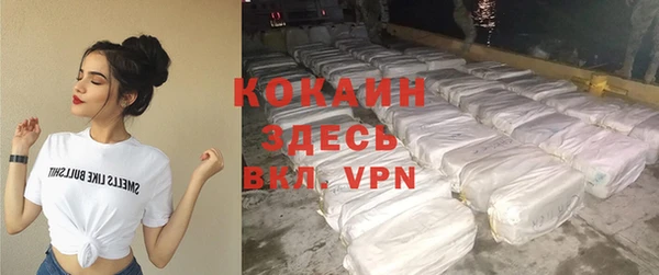 индика Заволжск