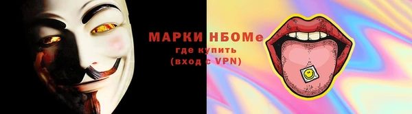индика Заволжск