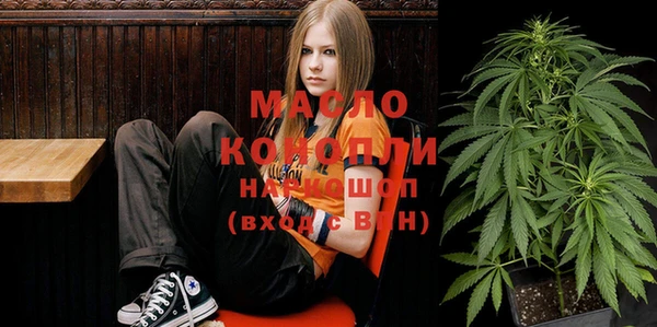 индика Заволжск
