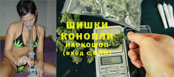 индика Заволжск