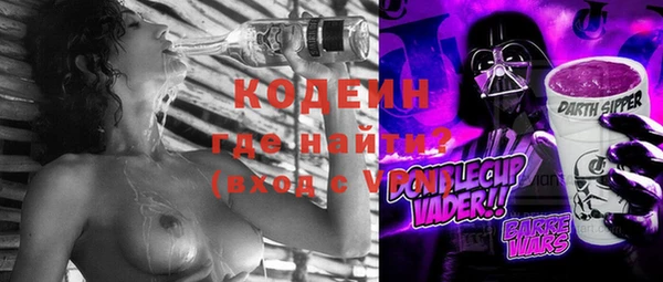 индика Заволжск