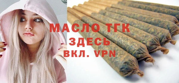 индика Заволжск